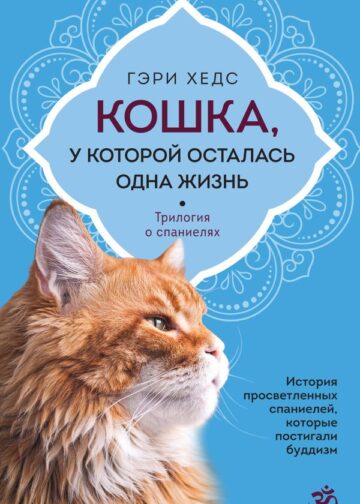 Кошка, у которой осталась одна жизнь