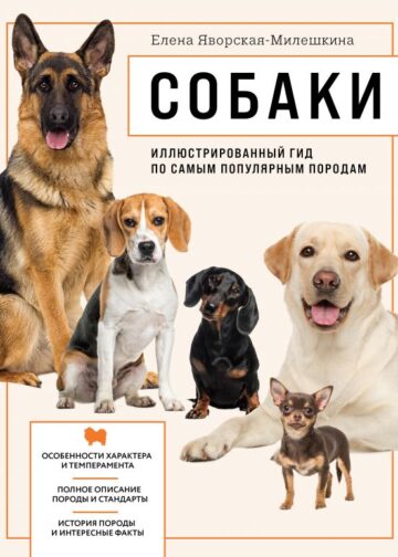 Собаки. Иллюстрированный гид по самым популярным породам