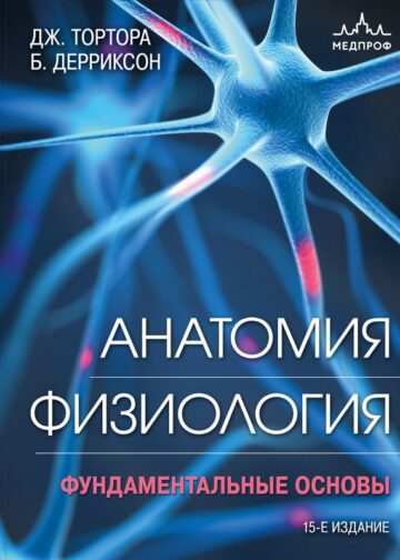 Анатомия. Физиология. Фундаментальные основы. 15-е издание