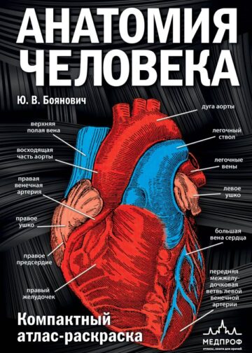 Анатомия человека: компактный атлас-раскраска
