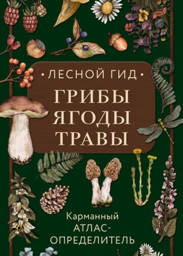 Лесной гид: грибы, ягоды, травы. Карманный атлас-определитель