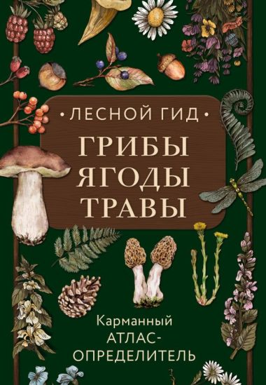 Лесной гид: грибы, ягоды, травы. Карманный атлас-определитель