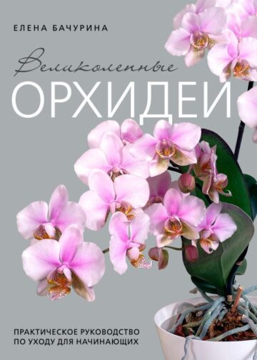 Великолепные орхидеи. Практичное руководство по уходу для начинающих