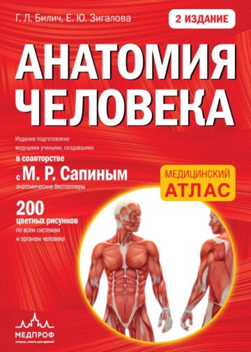 Анатомия человека (цветной атлас): 2 издание