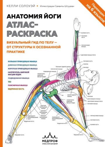 Анатомия йоги: атлас-раскраска. Визуальный гид по телу — от структуры к осознанной практике