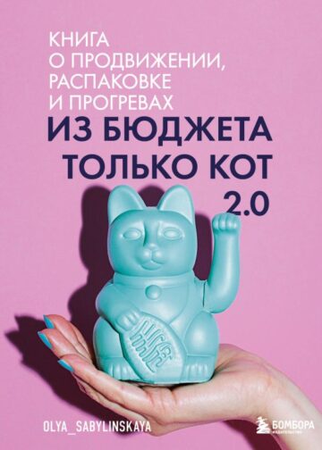 Из бюджета только кот 2.0
