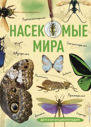 Насекомые мира. Детская энциклопедия