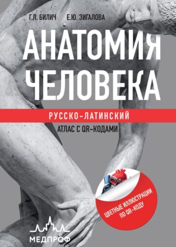 Анатомия человека: Русско-латинский атлас с QR-кодами на цветные изображения
