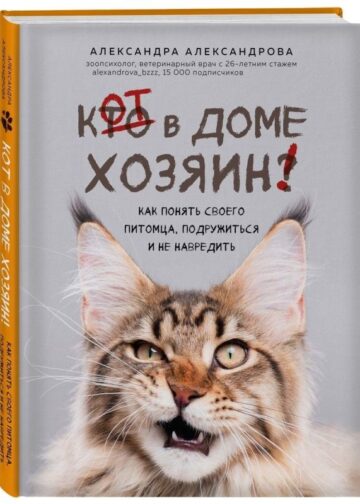 Кот в доме хозяин! Как понять своего питомца, подружиться и не навредить