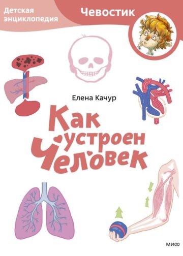 Как устроен человек. Детская энциклопедия (Чевостик) (Paperback)