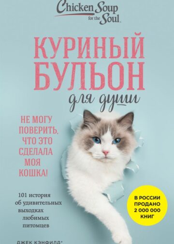 Куриный бульон для души. Не могу поверить, что это сделала моя кошка! 101 история об удивительных выходках любимых питомцев