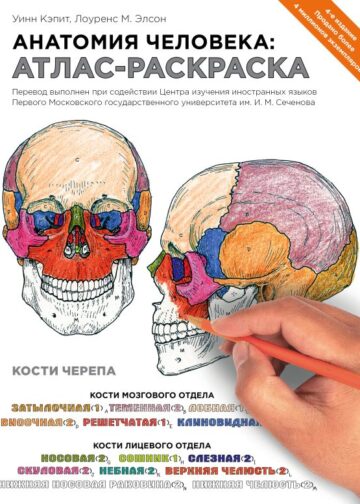 Анатомия человека: атлас-раскраска