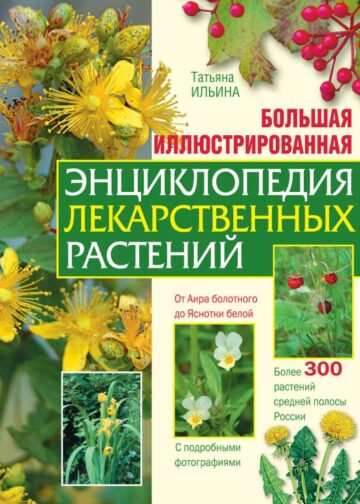 Большая иллюстрированная энциклопедия лекарственных растений