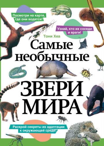 Самые необычные звери мира