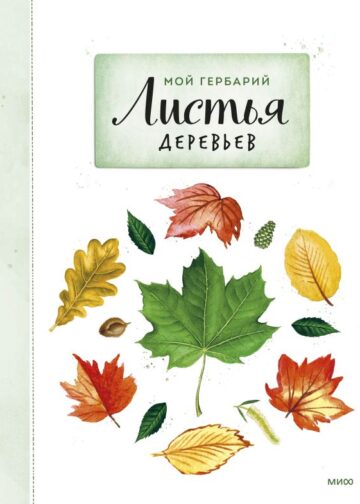 Мой гербарий. Листья деревьев(переупак)