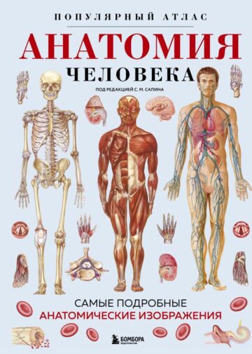 Анатомия человека. Популярный атлас. Самые подробные анатомические изображения