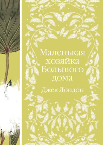 Маленькая хозяйка Большого дома (книга  #4)