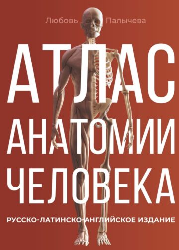 Атлас анатомии человека. Русско-латинско-английское издание