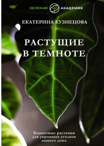 Растущие в темноте. Комнатные растения для укромных уголков вашего дома
