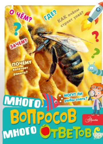 Много вопросов, много ответов