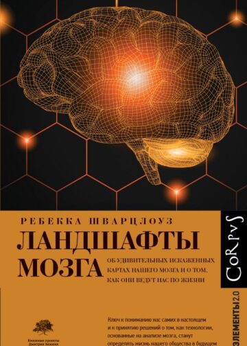 Ландшафты мозга