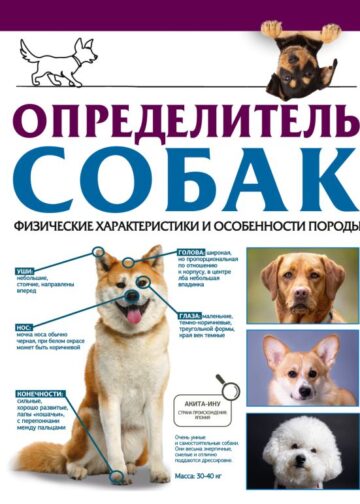 Определитель собак. Физические характеристики и особеннности породы