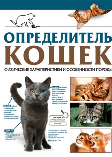 Определитель кошек. Физические характеристики и особенности породы