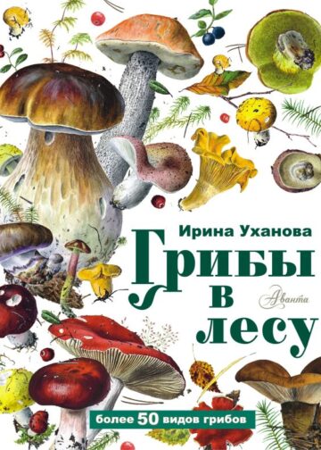 Грибы в лесу