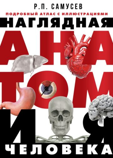 Наглядная анатомия человека. Подробный атлас с иллюстрациями