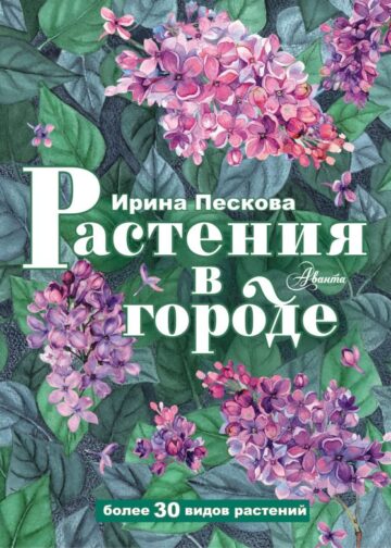 Растения в городе