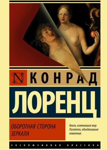 Оборотная сторона зеркала