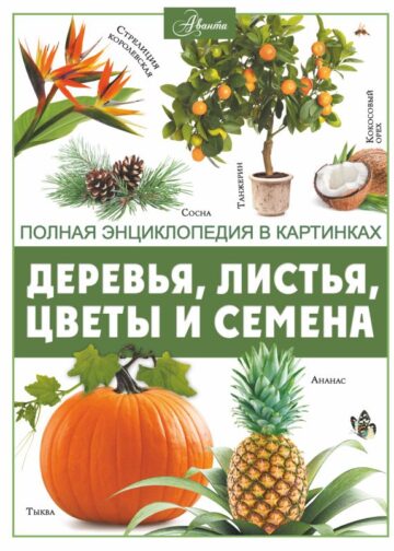 Деревья, листья, цветы и семена