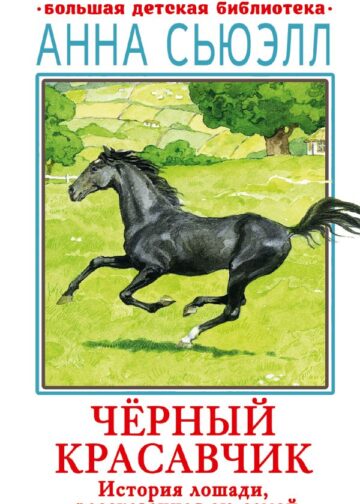 Черный красавчик
