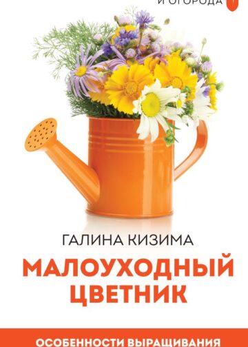 Малоуходный цветник. Особенности выращивания своими руками