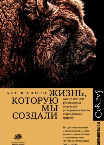 Жизнь, которую мы создали