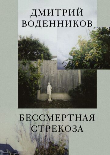 Бессмертная стрекоза