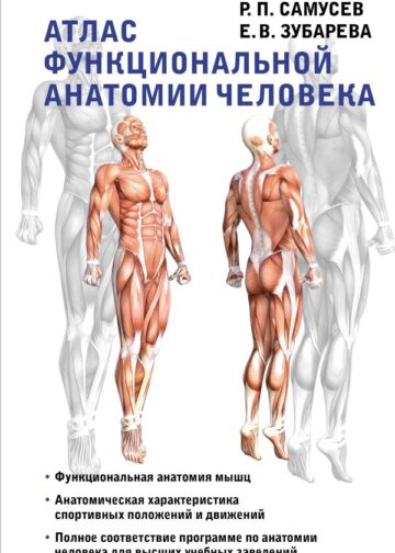 Атлас функциональной анатомии человека