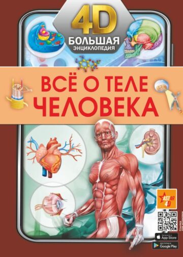 Всё о теле человека