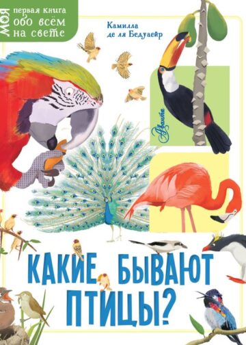Какие бывают птицы?