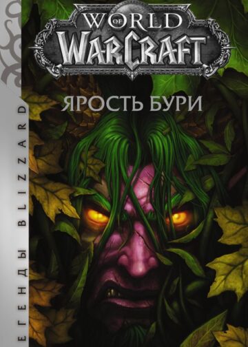 World of Warcraft. Ярость Бури