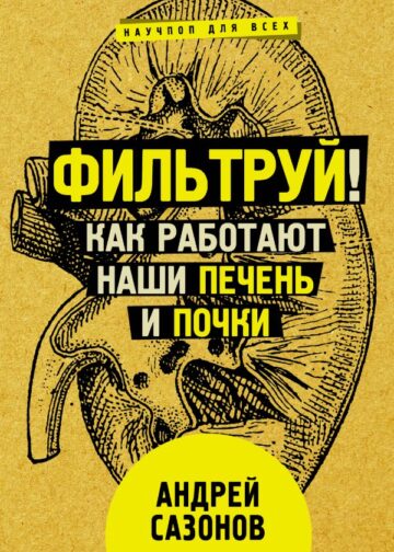 Фильтруй! Как работают наши печень и почки