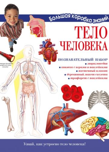 Тело человека. Познавательный набор