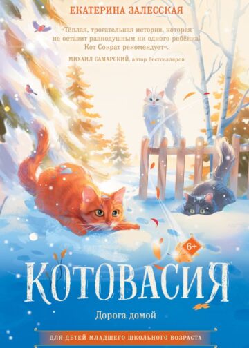 Котовасия. Дорога домой