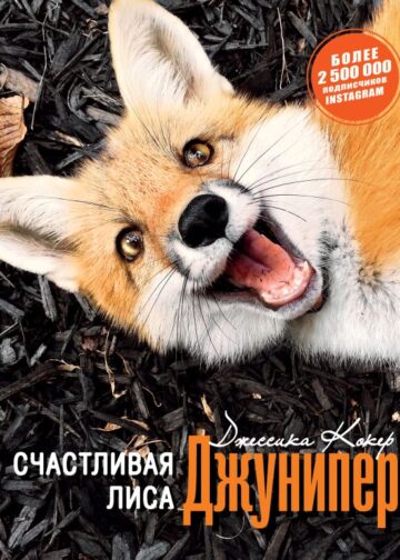 Счастливая лиса Джунипер
