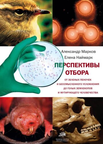 Перспективы отбора