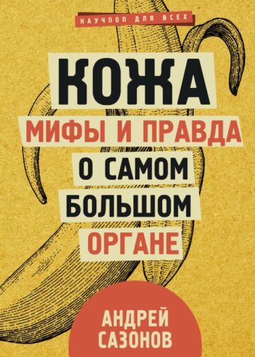 Кожа: мифы и правда о самом большом органе