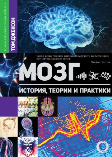 Мозг. История, теории и практики