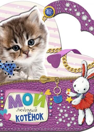 Мой любимый котенок