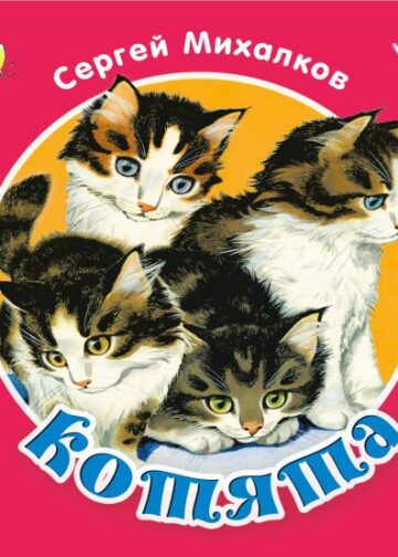 Котята