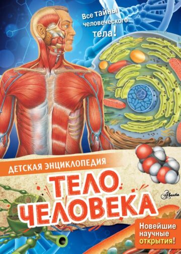 Тело человека